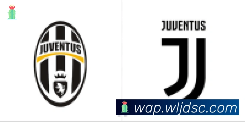 爱游戏ayx合作伙伴